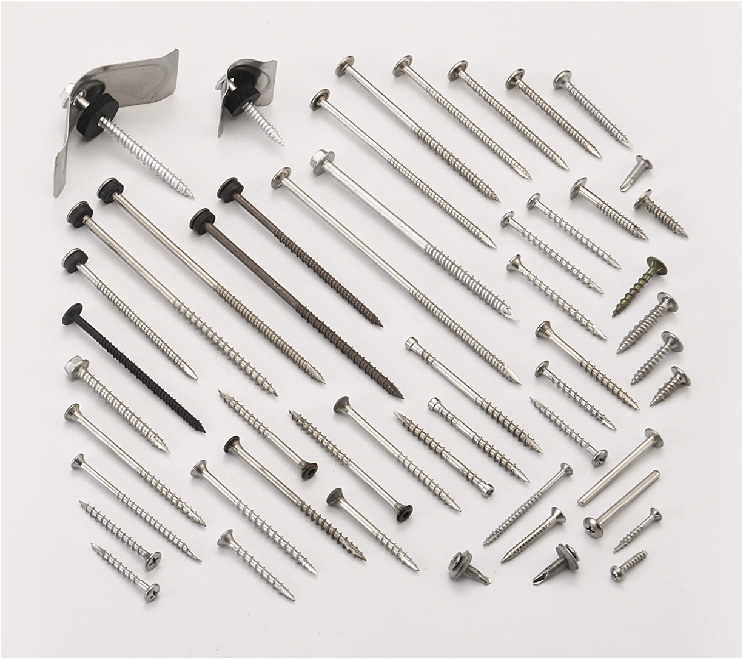 Stainless Steel Screws